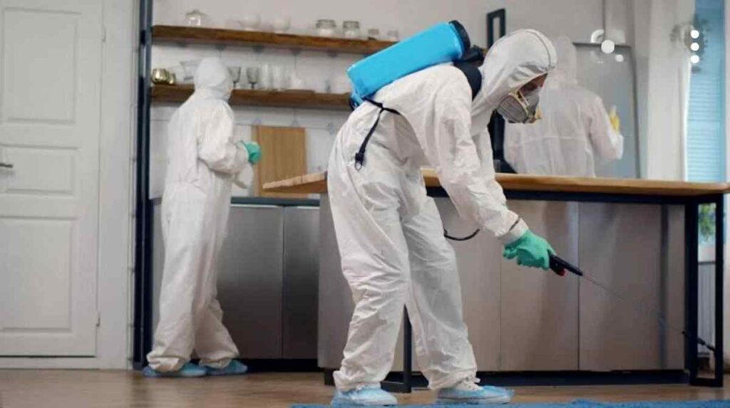 fumigation & pest control services