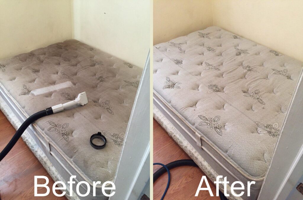 Mattress Cleaning Services