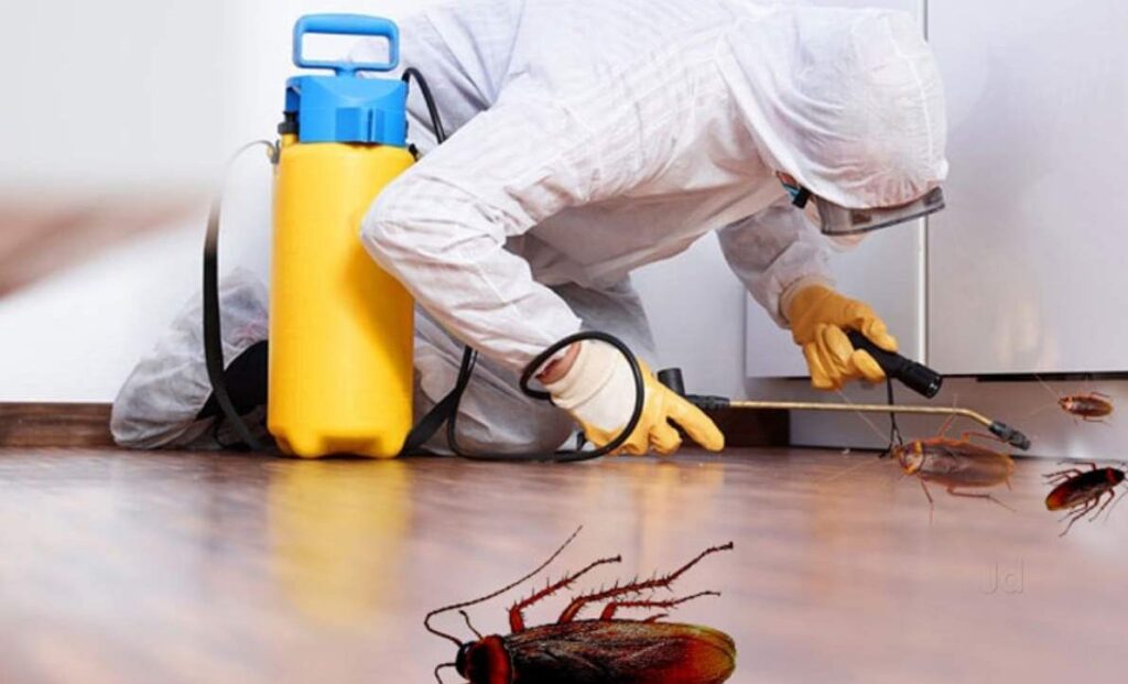 Cockroach Control services in Nairobi