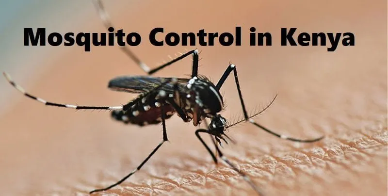 Mosquitoes Control Services in Nairobi