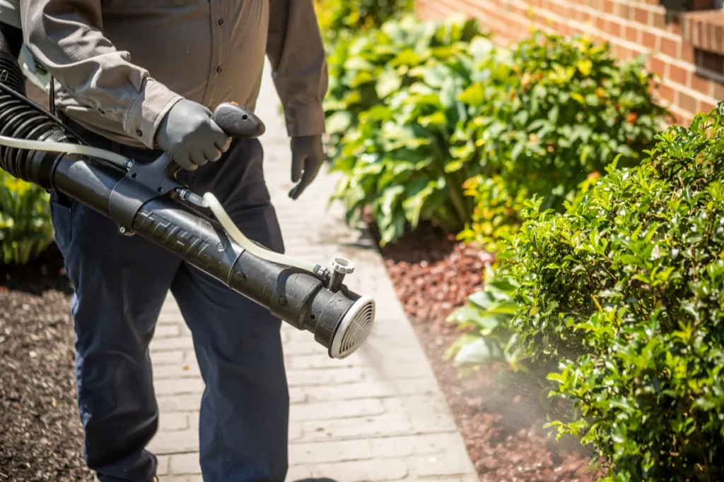 Mosquitoes Control Services