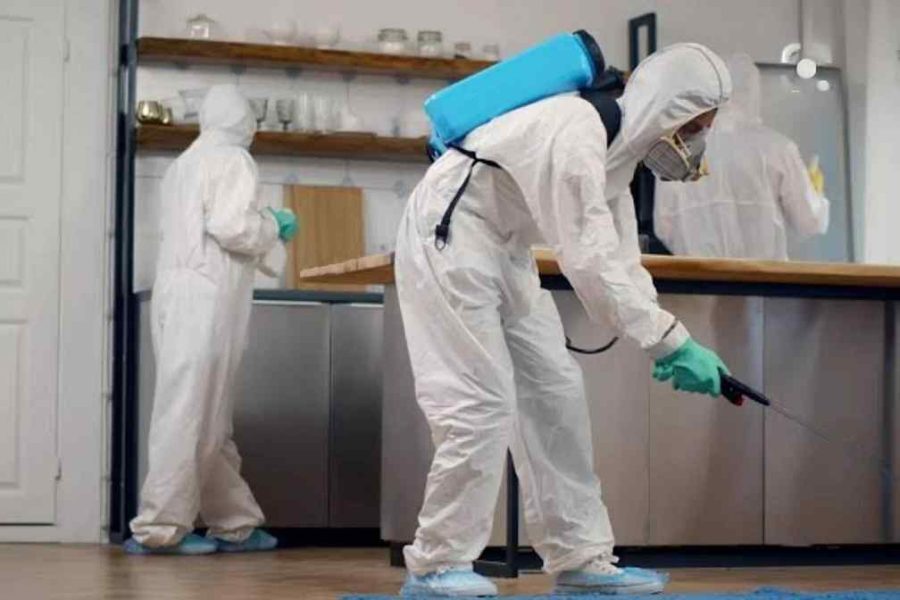 fumigation & pest control services